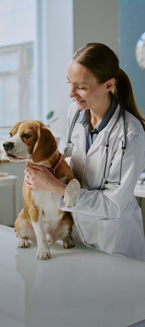 Veterinary